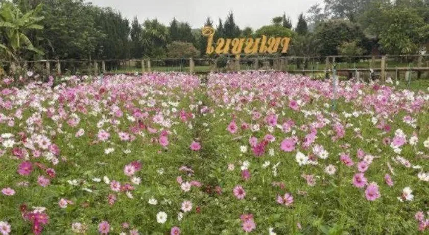 Nai Khun Khao Resort