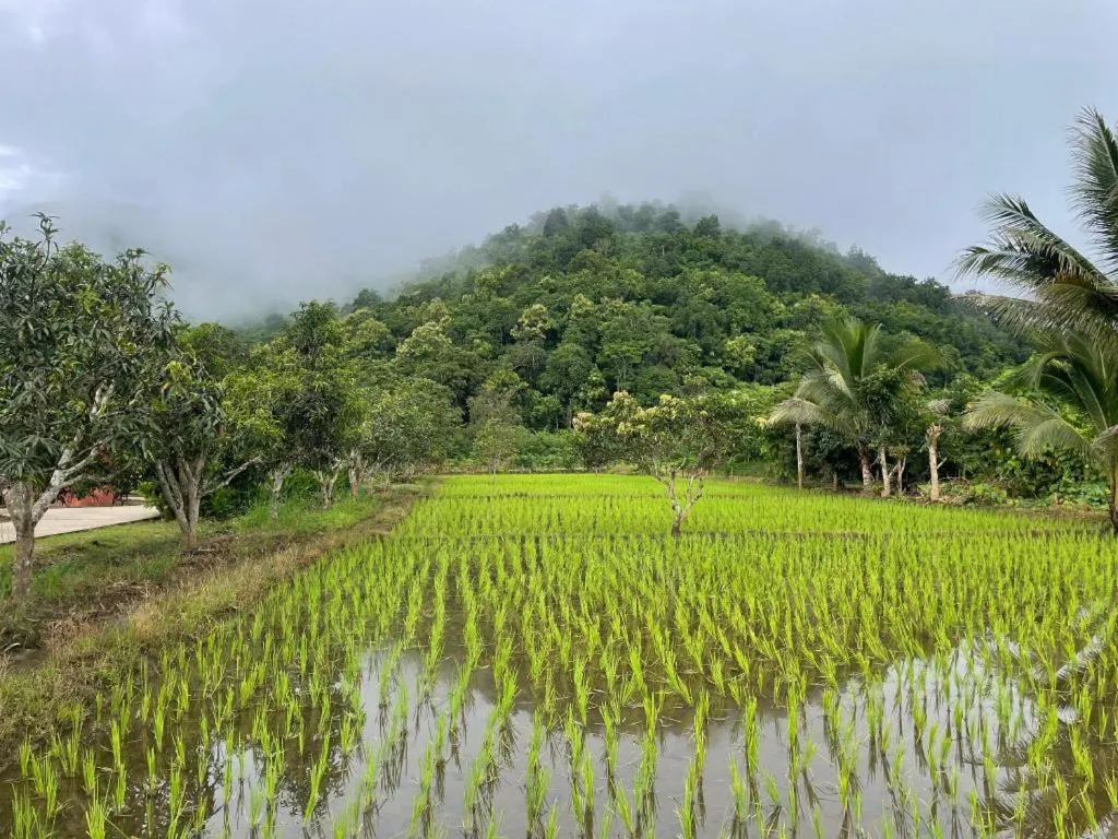 Nai Khun Khao Resort
