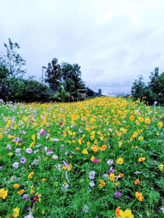 Nai Khun Khao Resort