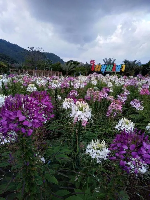 Nai Khun Khao Resort