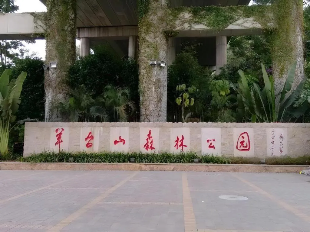 Lavande Hotel Shenzhen North Station Huawei Gangtou Metro Station