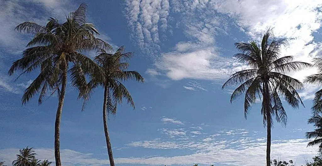 Bien Ngoc Hotel - Ly Son