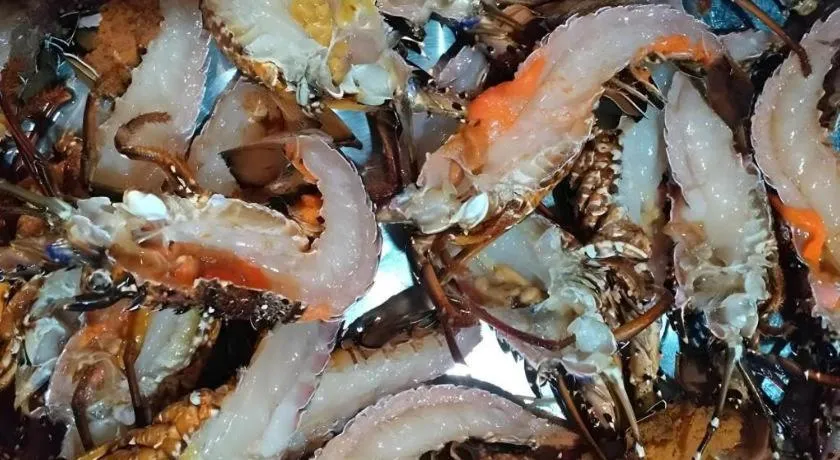 Bien Ngoc Hotel - Ly Son