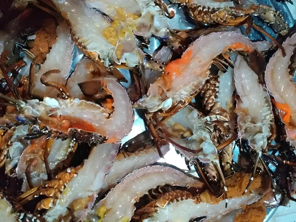 Bien Ngoc Hotel - Ly Son