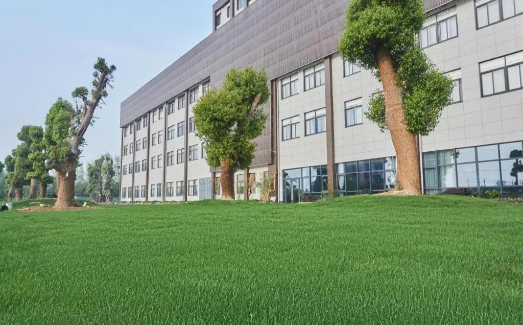 S·dor Hotel Hangzhou Xiaoshan Intertational Airport