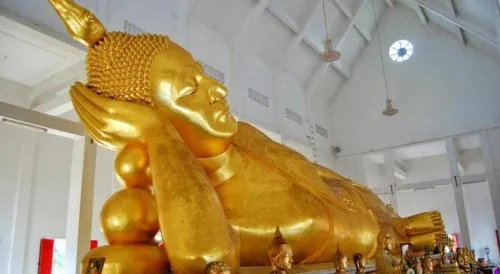 Poonpun Pet Friends Poshtel