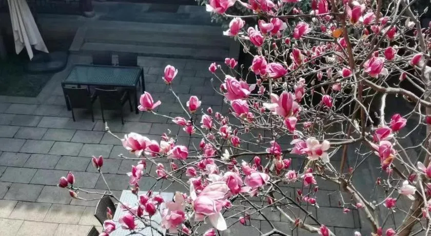 Blossom Hill Inn Suzhou Tanhuafu