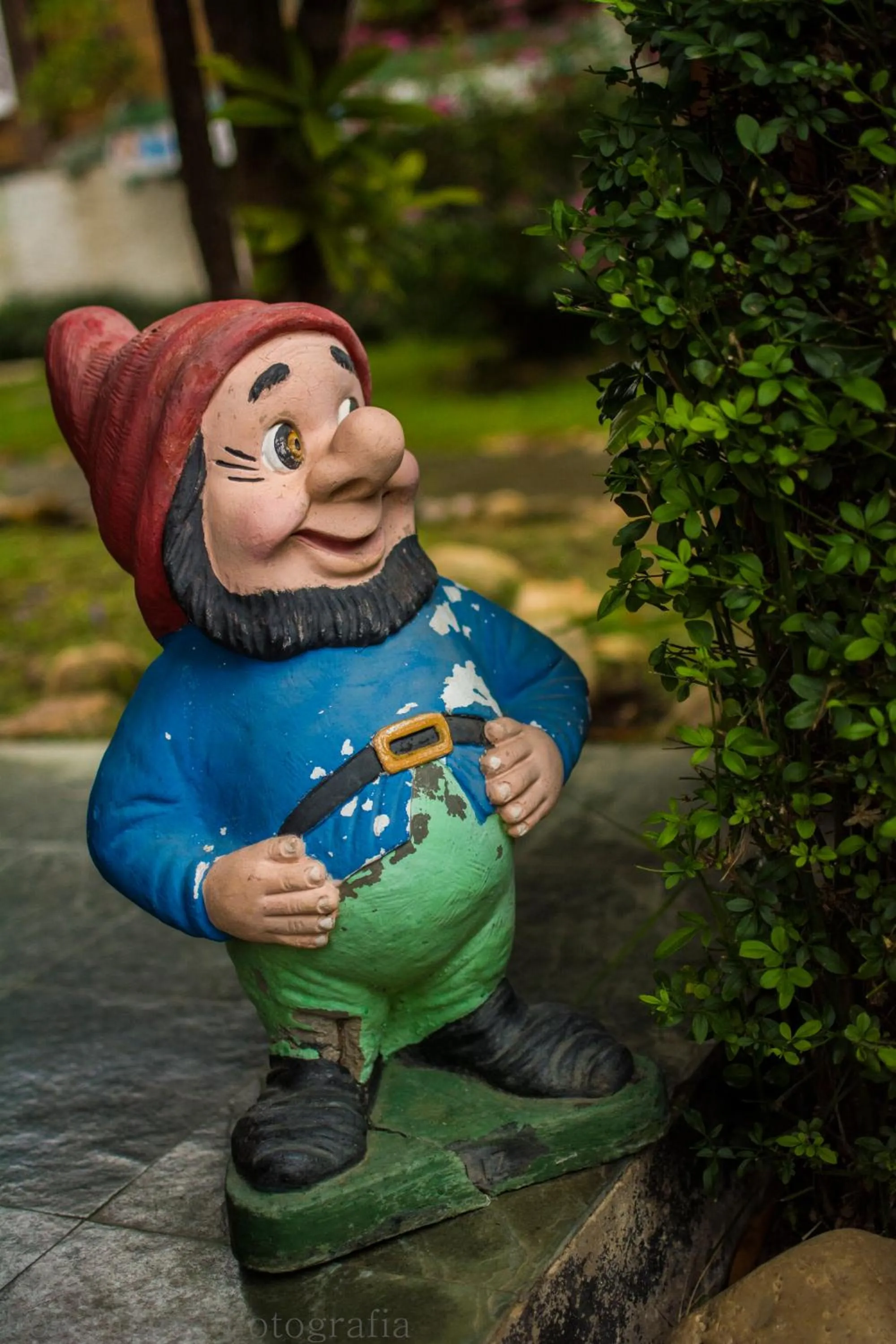 Day in Pousada Recanto Ninho Verde Chalés