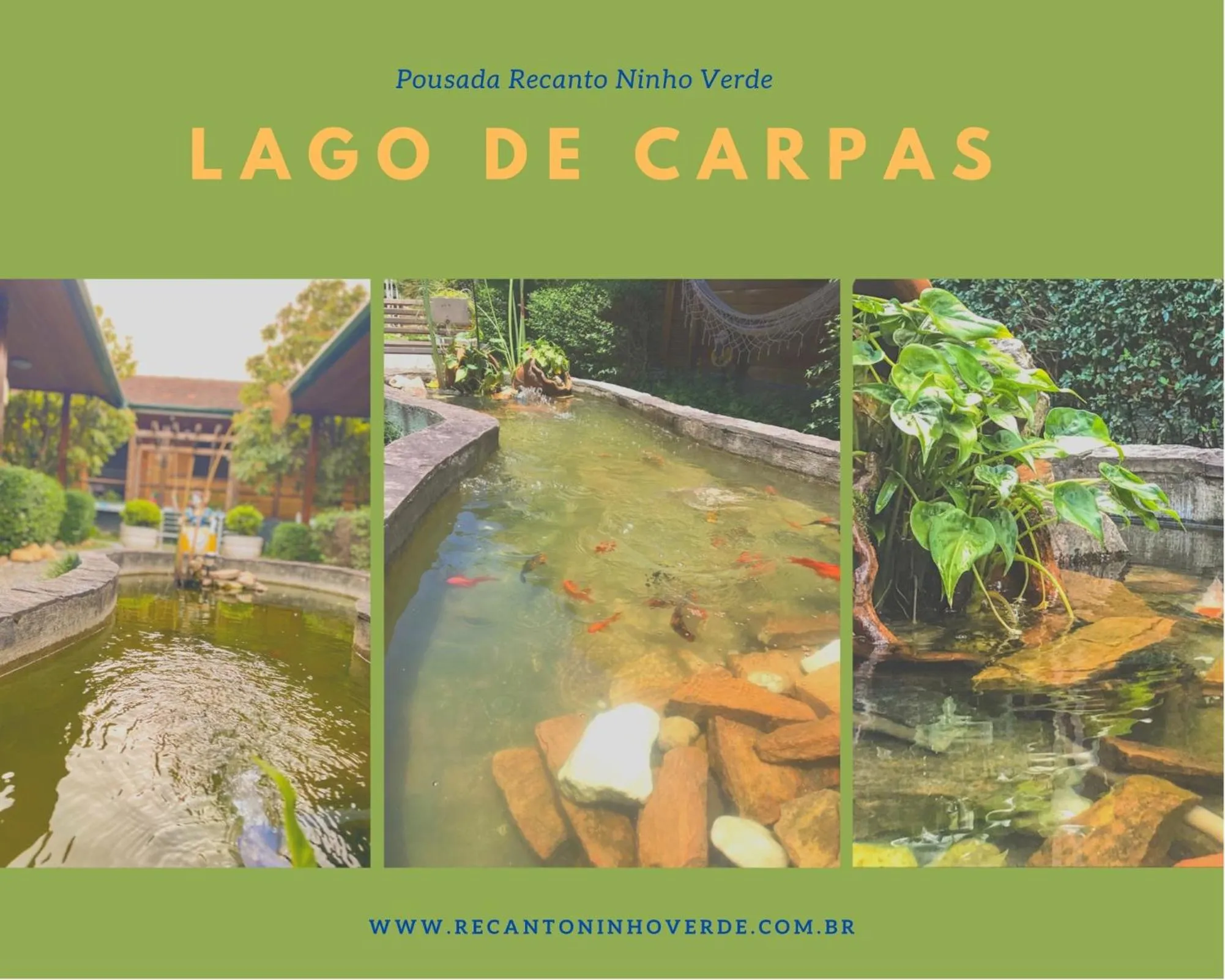 Day in Pousada Recanto Ninho Verde Chalés