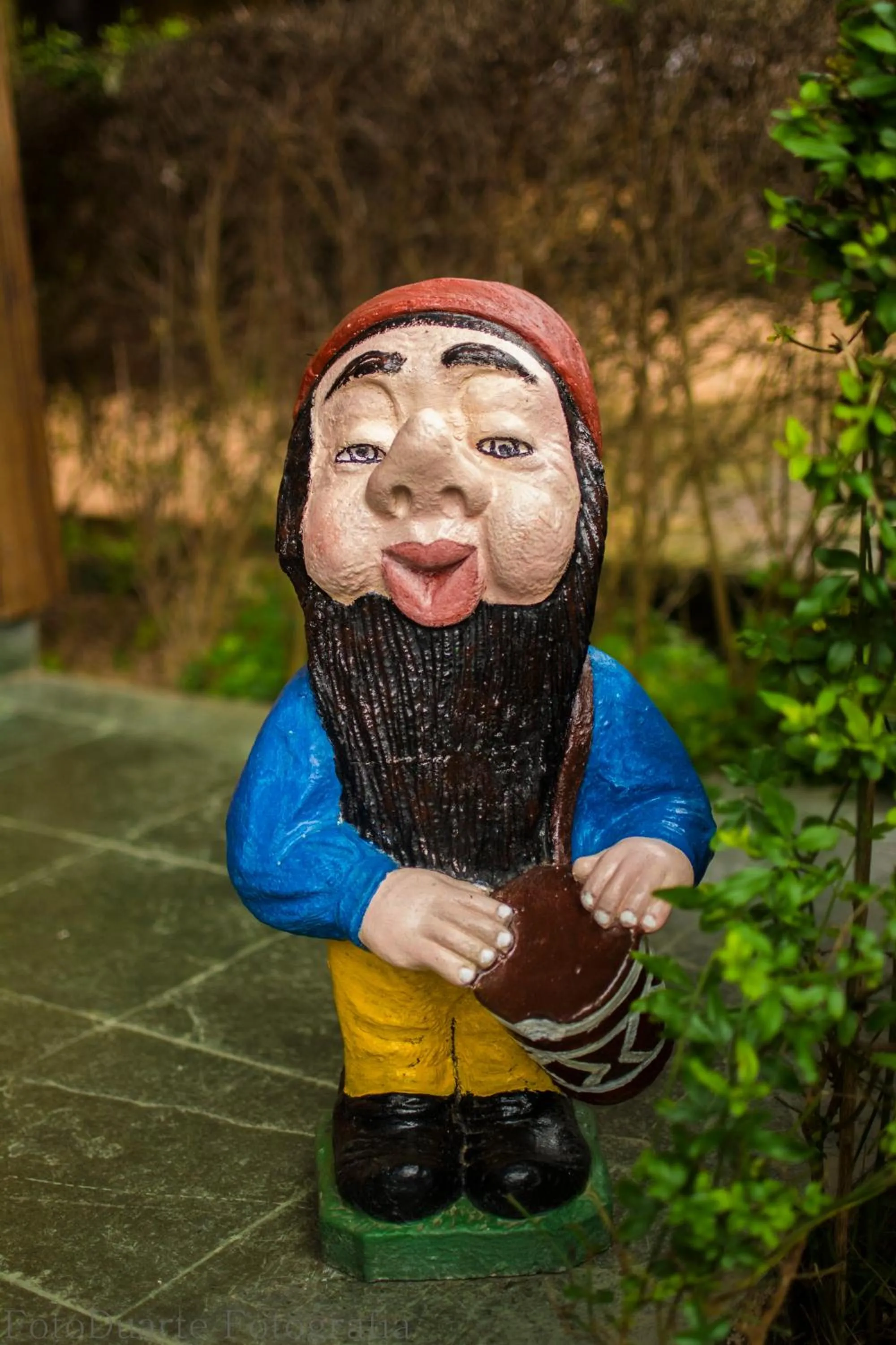 Day in Pousada Recanto Ninho Verde Chalés