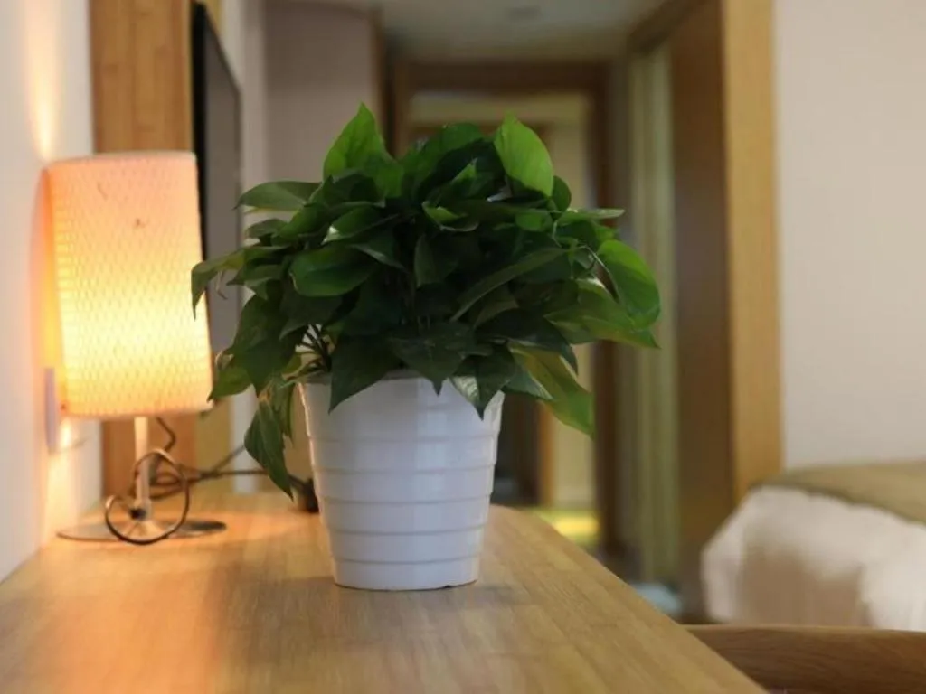 Bed in Vatica Hangzhou Linan Qianwang Street Hotel