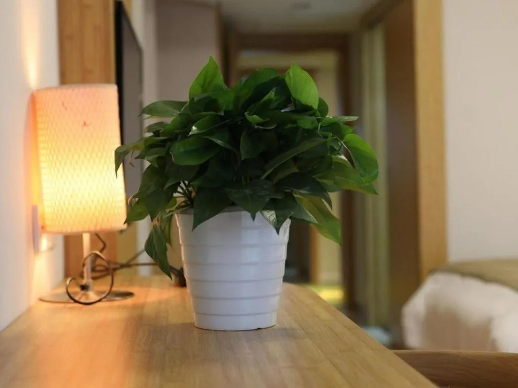 Bed in Vatica Hangzhou Linan Qianwang Street Hotel