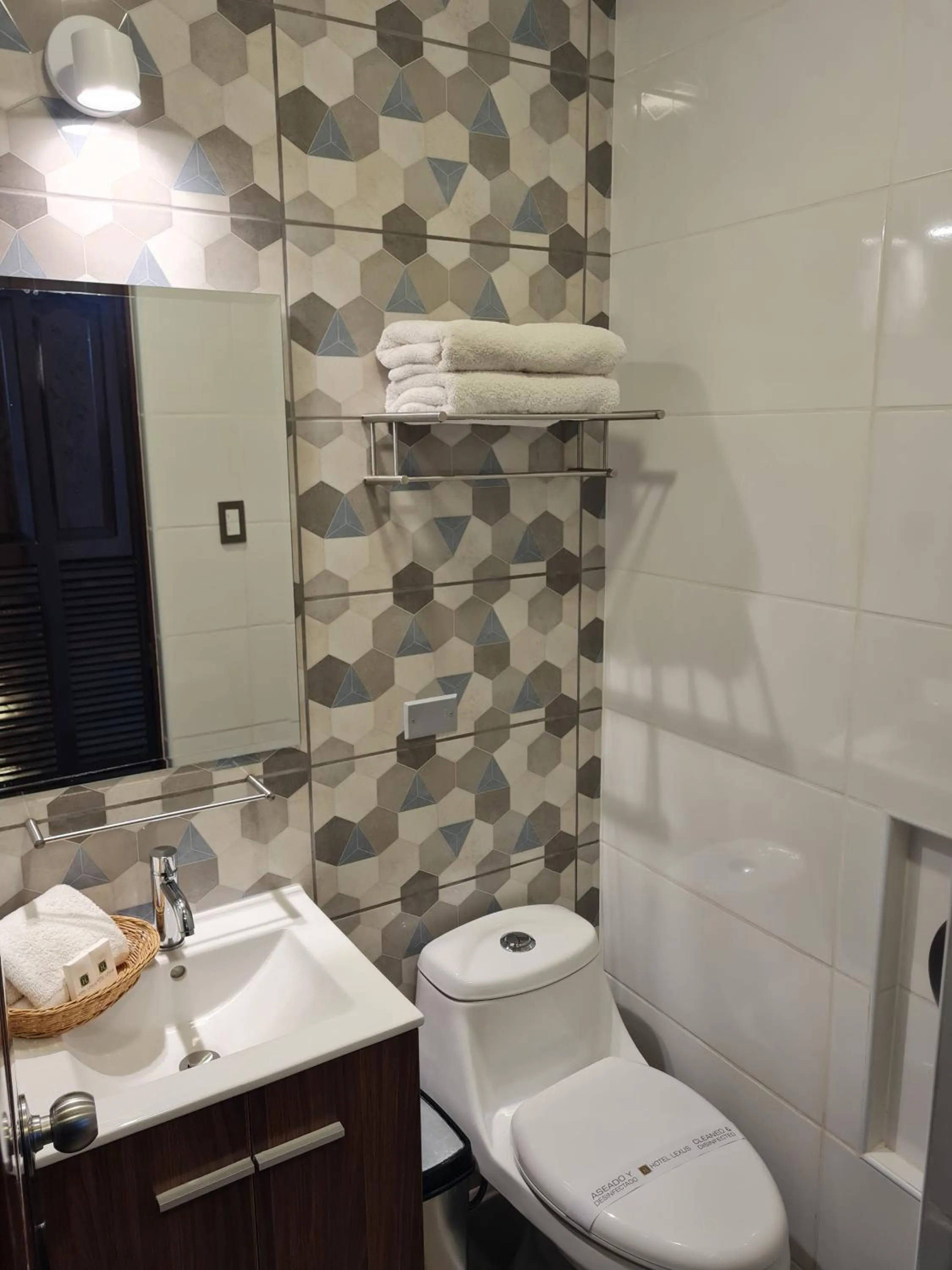 Bathroom in Hotel Lexus