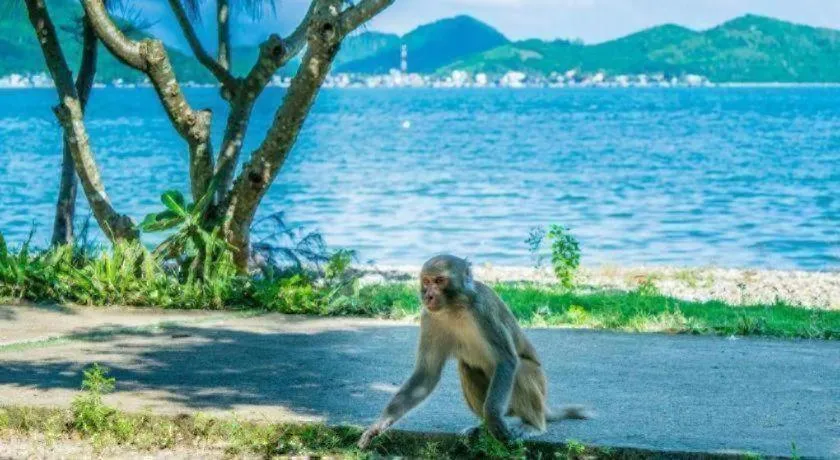 OYO 1028 Flower House Apartment