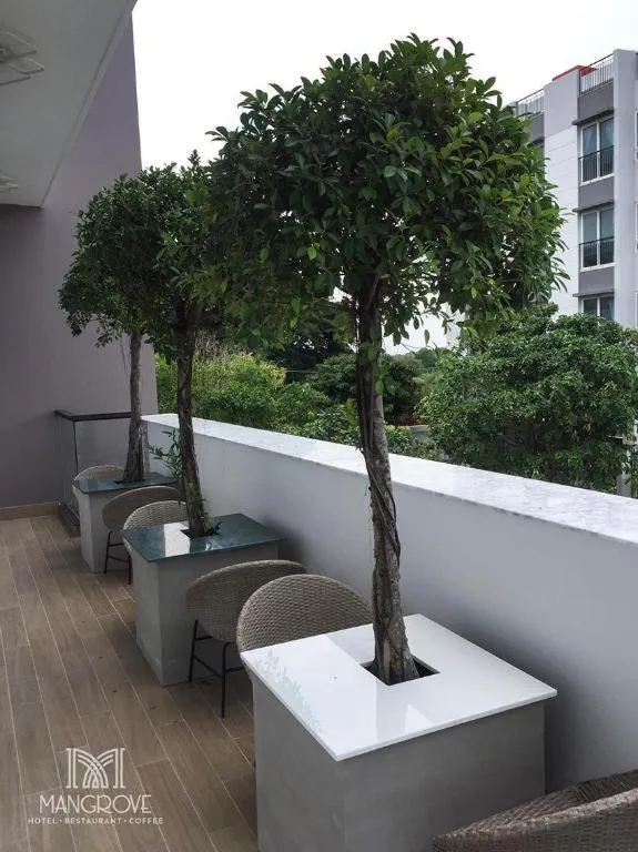 Mangrove Hotel Can Gio