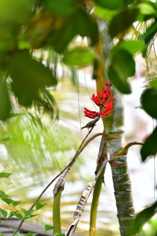 Banmaihom Resort Amphawa