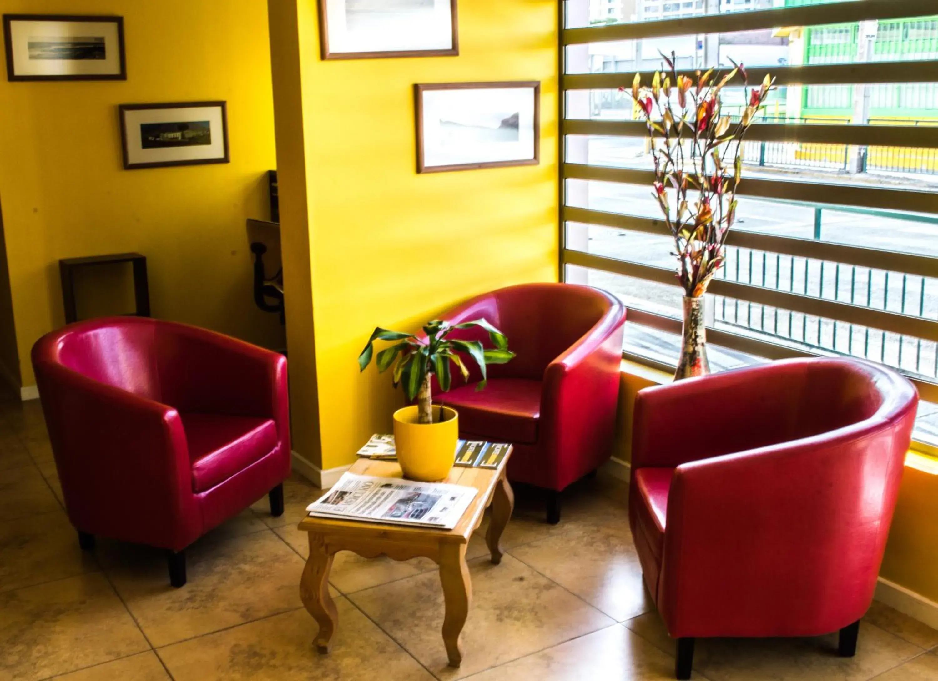 Ayelen Express Ayelen Express