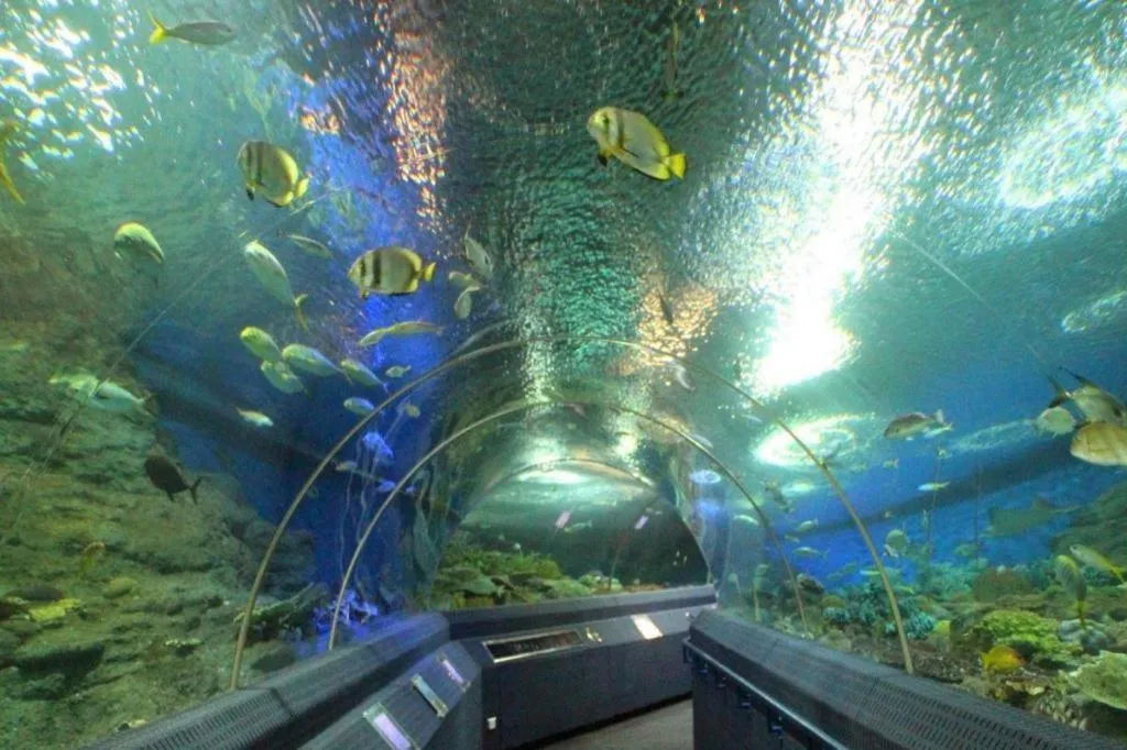 OYO 1126 Curve Boutique Pattaya