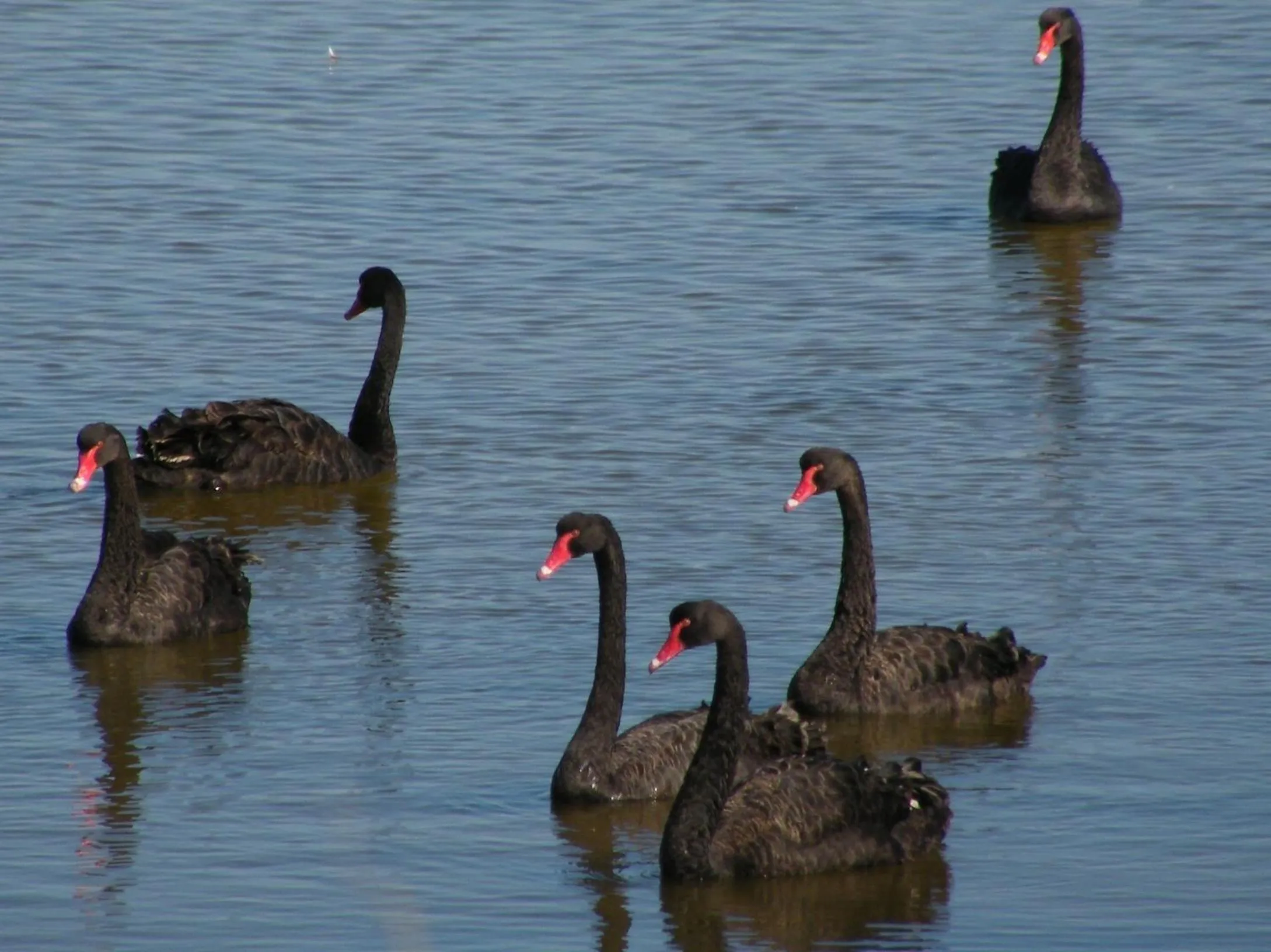Natural landscape in Coorong Waterfront Retreat