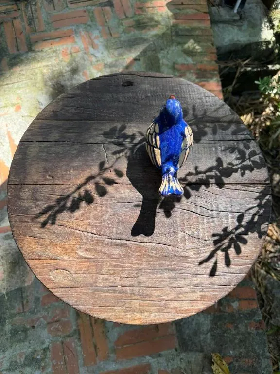 Mango House - Seaview - Homestay.