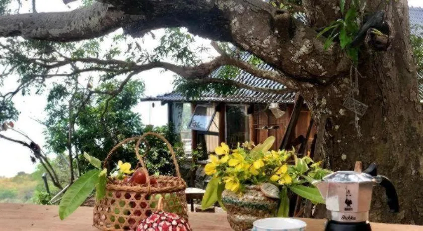 Mango House - Seaview - Homestay.