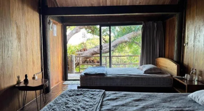 Bed in Mango House - Seaview - Homestay.