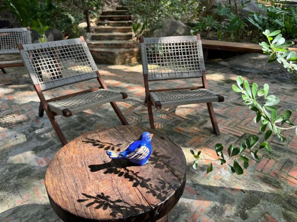 Mango House - Seaview - Homestay.