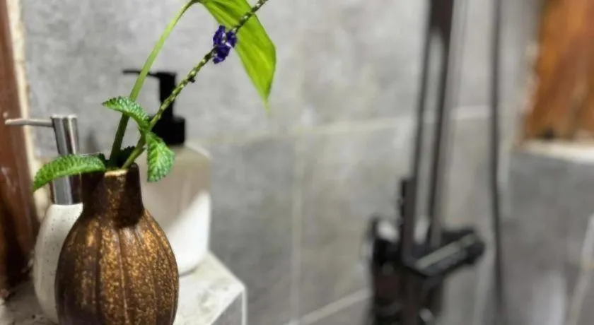 Mango House - Seaview - Homestay.