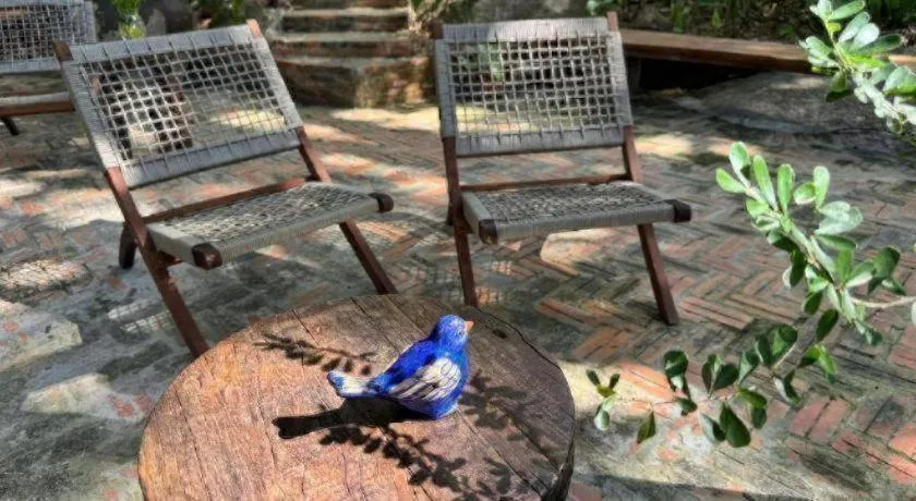 Mango House - Seaview - Homestay.