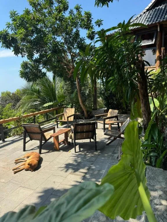 Mango House - Seaview - Homestay.