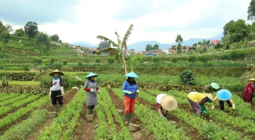 OYO Homes 90991 Eco Tourism Desa Panundaan Ciwidey 2 Syariah
