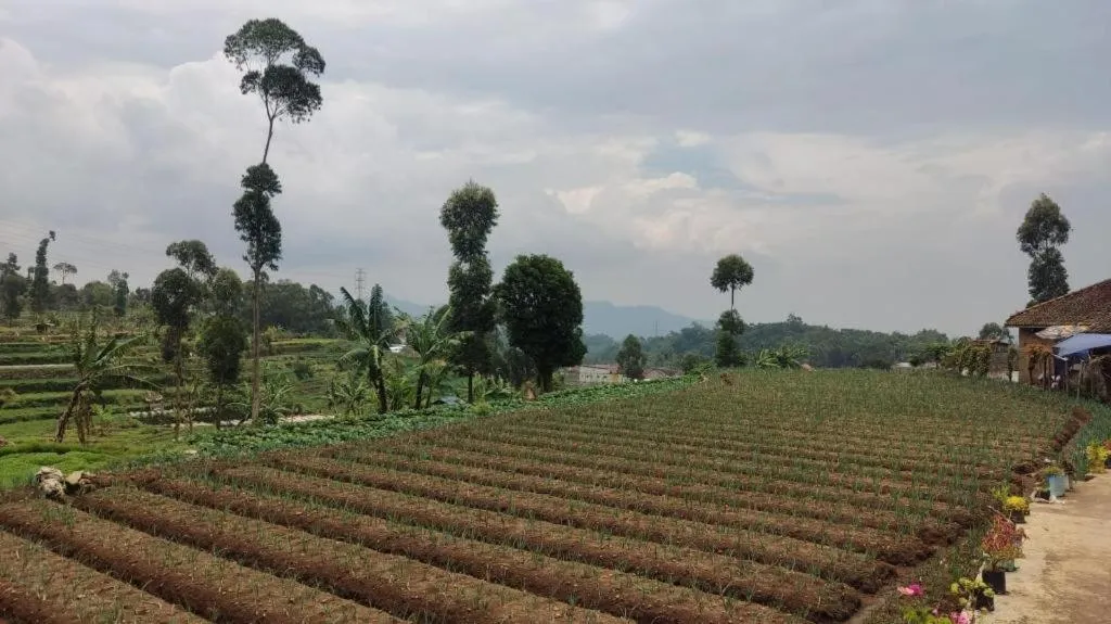 OYO Homes 90991 Eco Tourism Desa Panundaan Ciwidey 2 Syariah