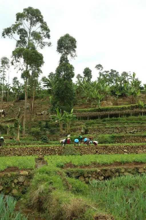 OYO Homes 90991 Eco Tourism Desa Panundaan Ciwidey 2 Syariah
