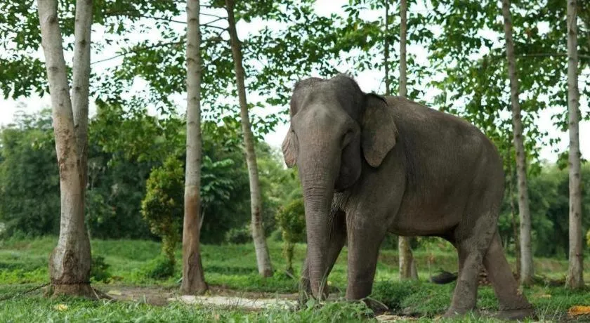 OYO 91681 Raysa Homestay