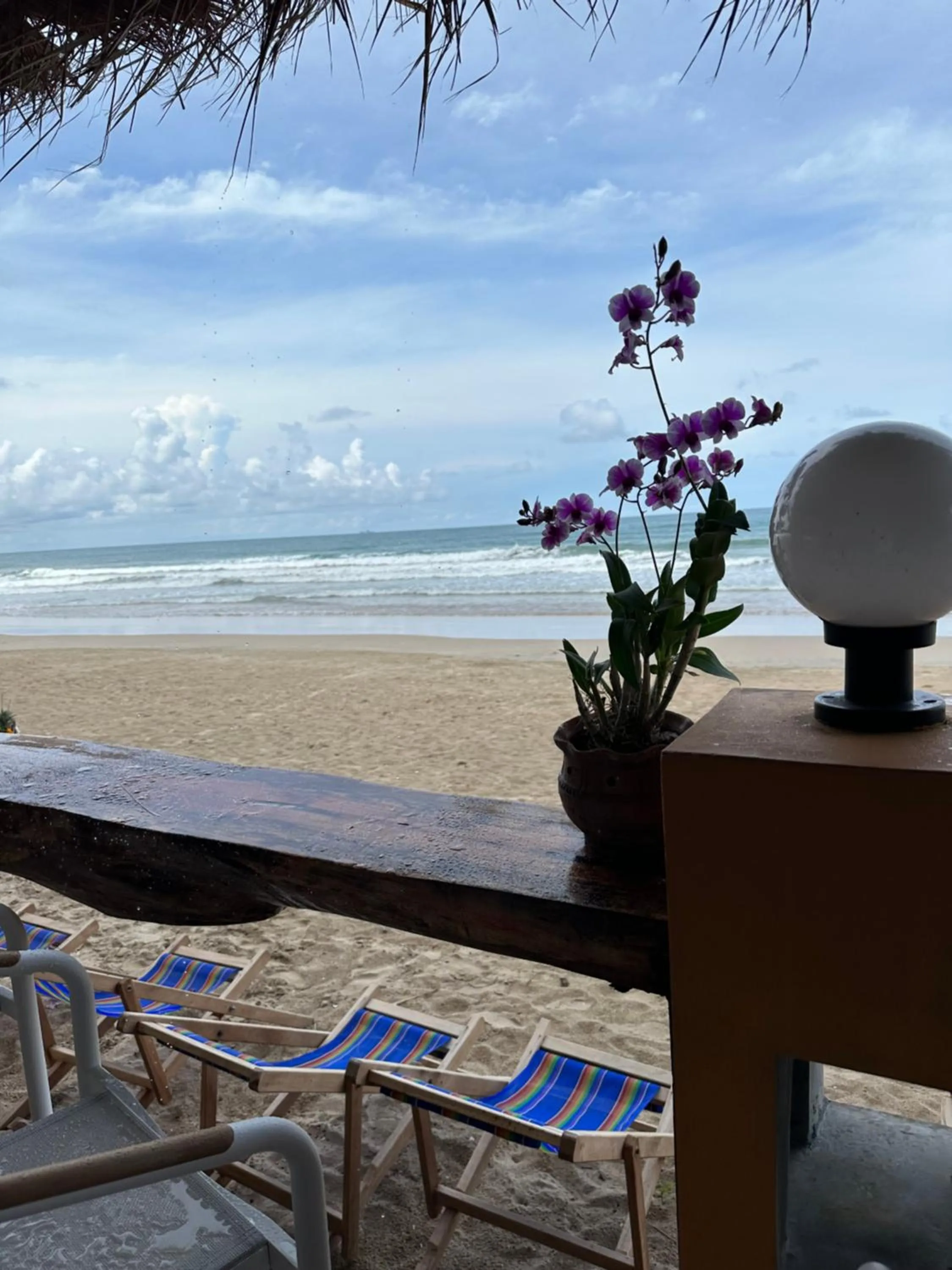 Lounge or bar in Noble House Beach Resort