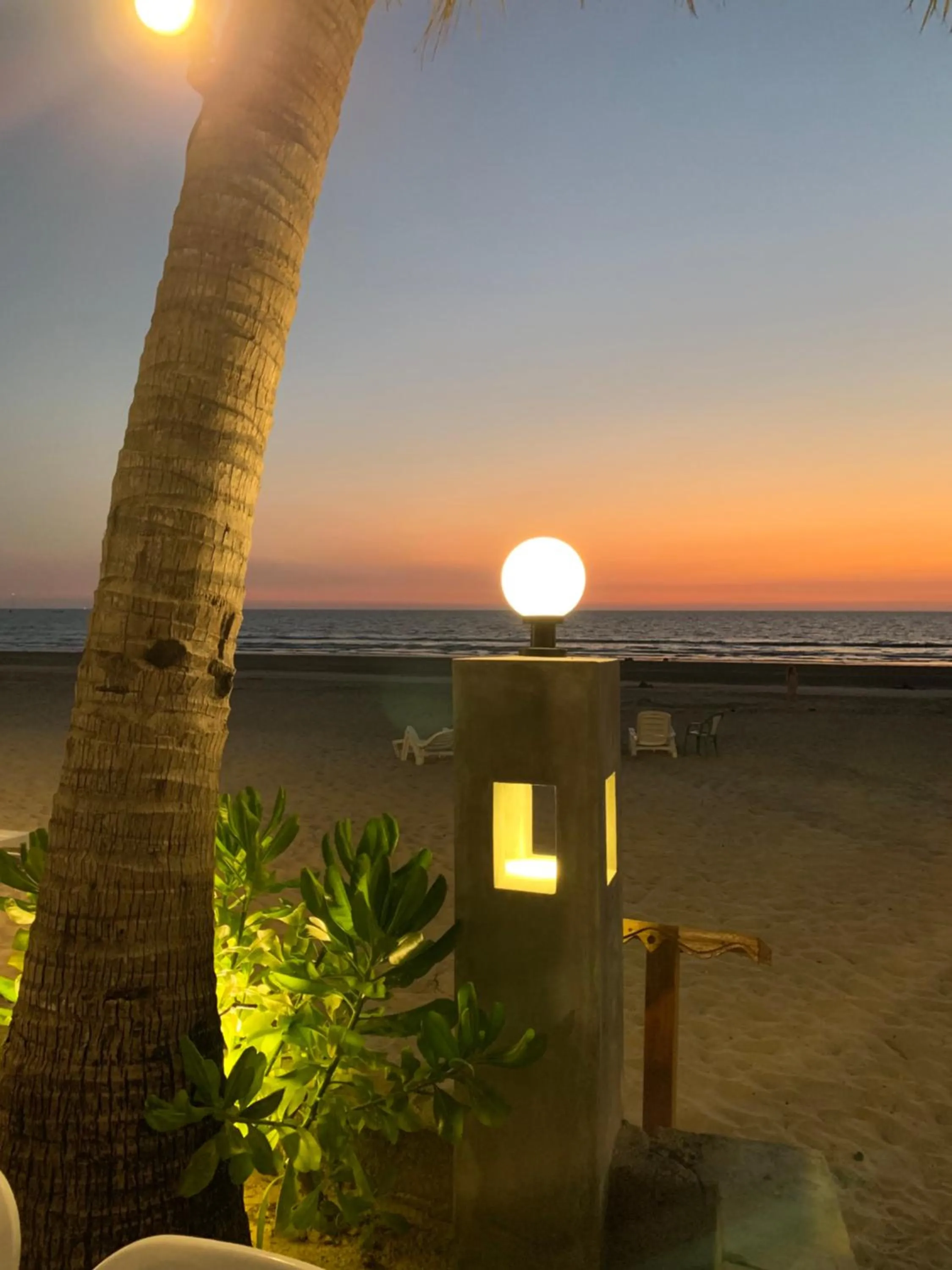 Natural landscape in Noble House Beach Resort