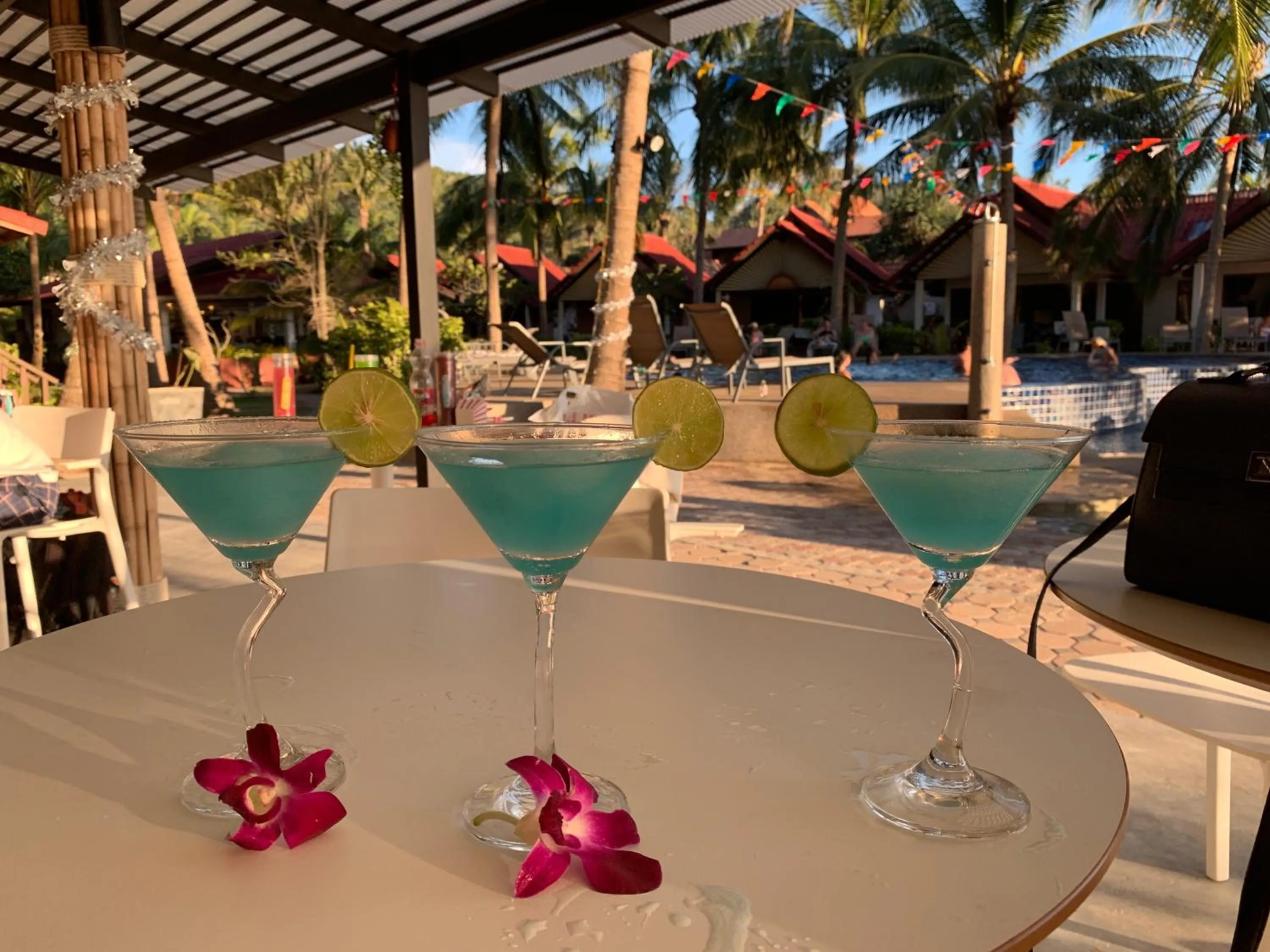 Garden in Noble House Beach Resort