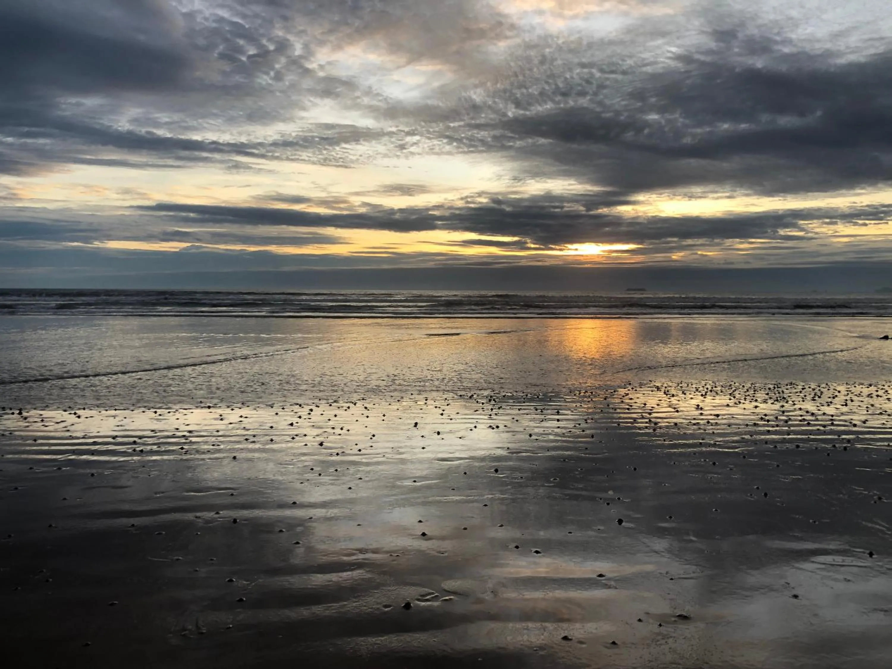 Beach in Noble House Beach Resort