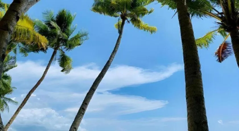 Marzon Beach Resort - Boracay