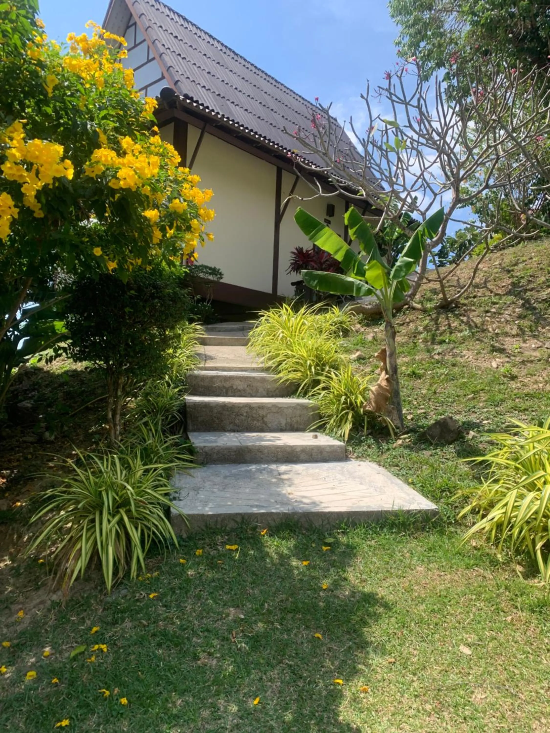 Property building in Phuchawee Lanta