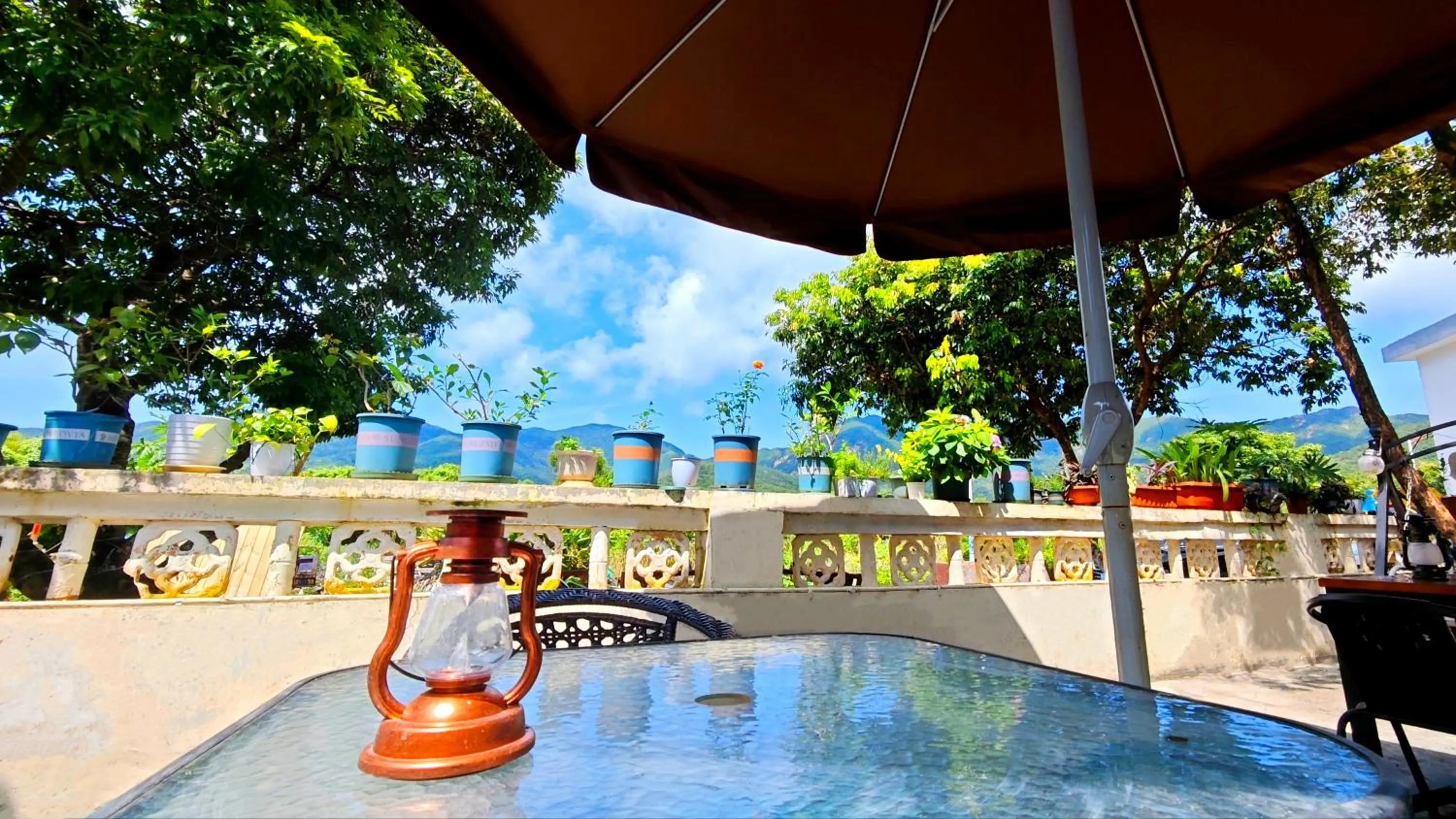 Restaurant/places to eat in Cloud Tree Inn Boutique Guesthouse XiChong DaPeng ShenZhen 深圳大鹏西涌云树里民宿Yun Shu Li