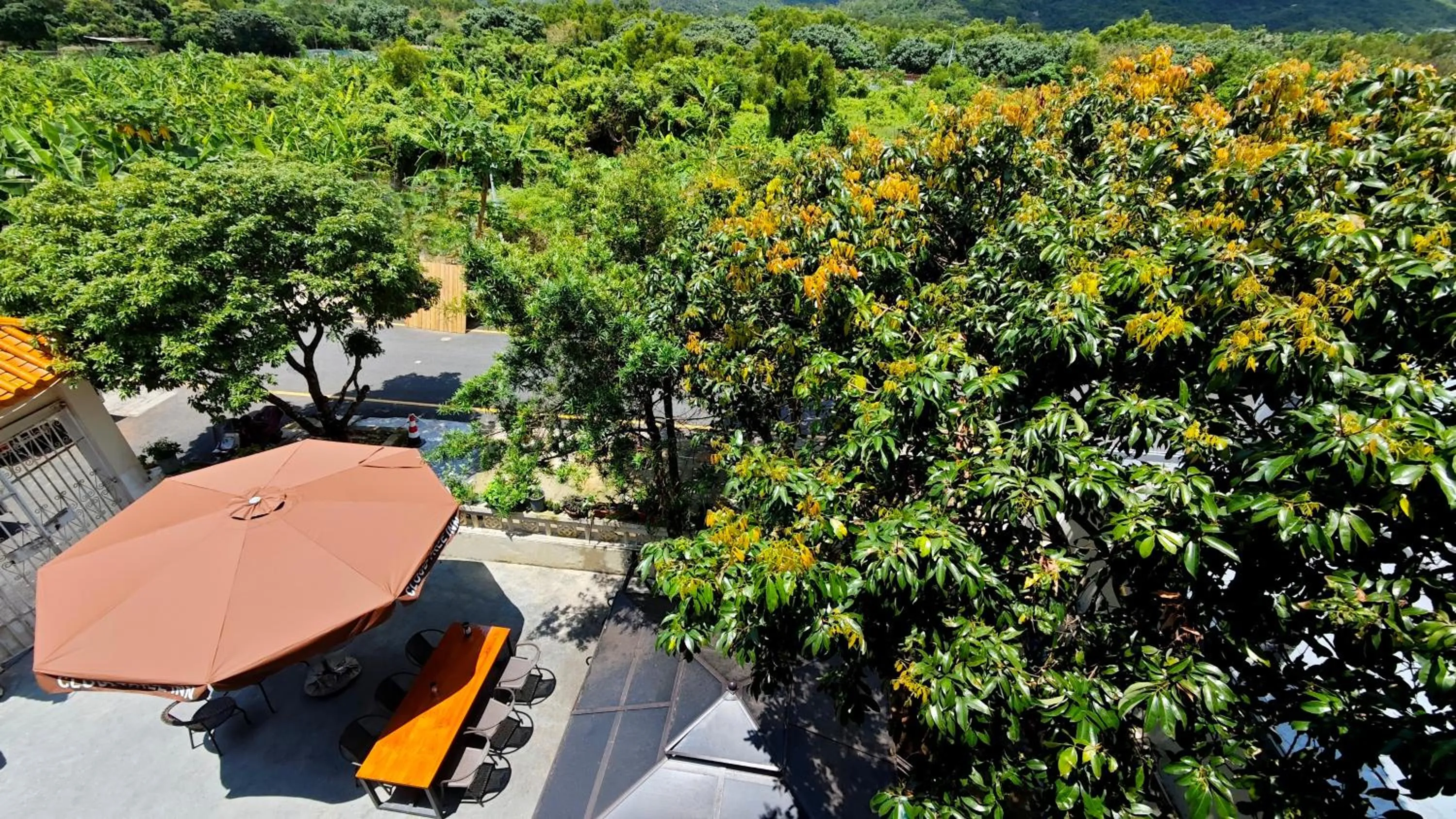 View (from property/room) in Cloud Tree Inn Boutique Guesthouse XiChong DaPeng ShenZhen 深圳大鹏西涌云树里民宿Yun Shu Li