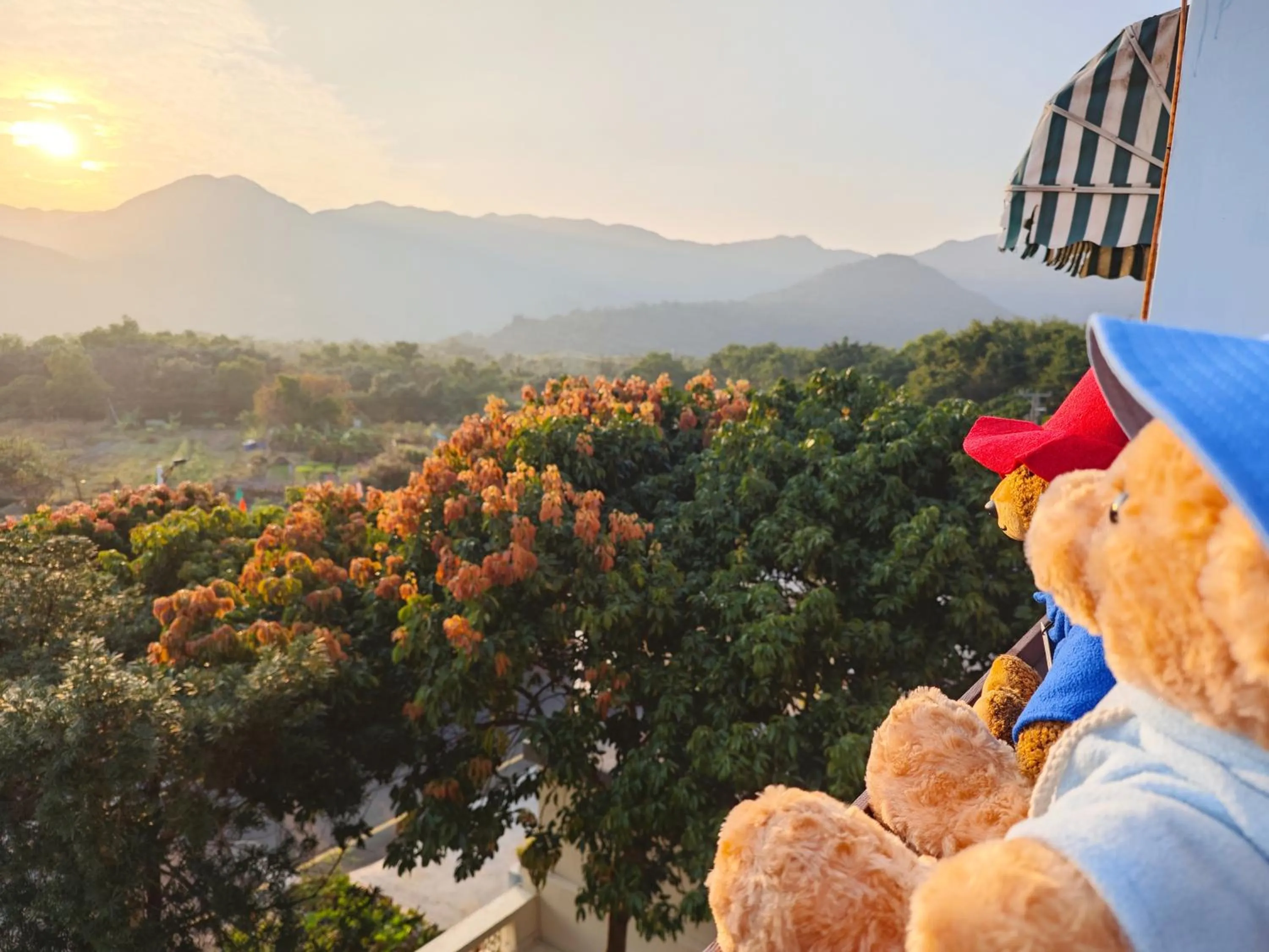 Mountain view in Cloud Tree Inn Boutique Guesthouse XiChong DaPeng ShenZhen 深圳大鹏西涌云树里民宿Yun Shu Li