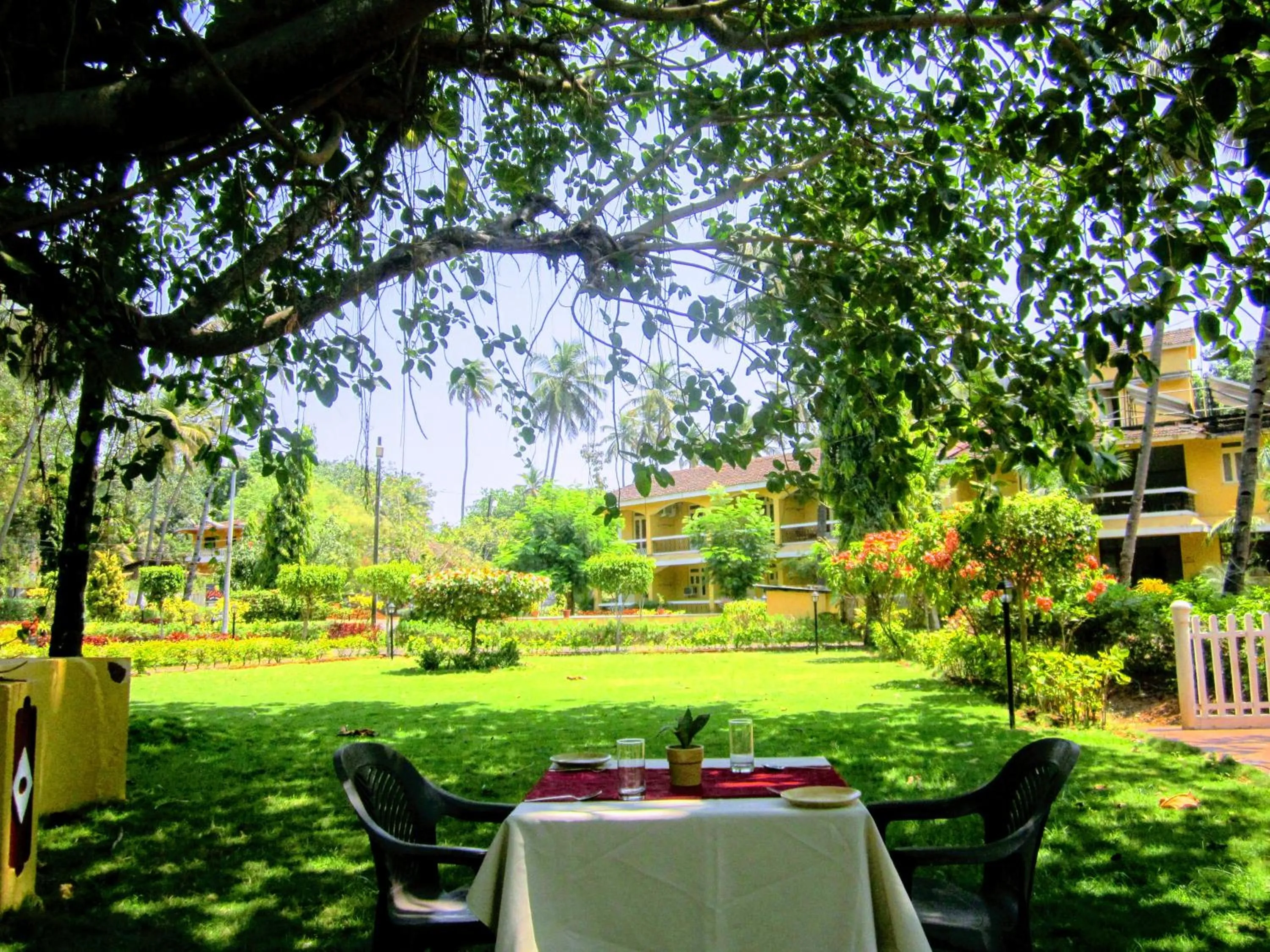 Restaurant/places to eat in Carina Beach Resort