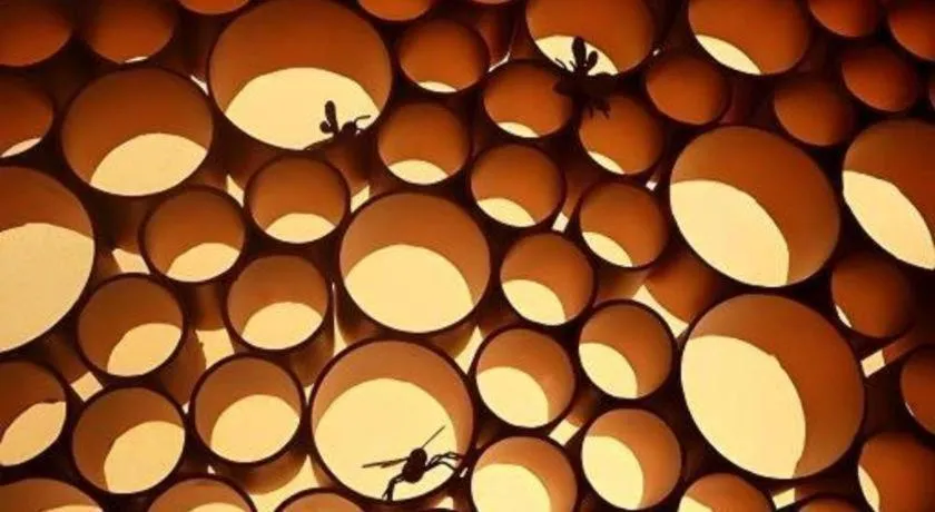 Xian Grand Noble Hotel