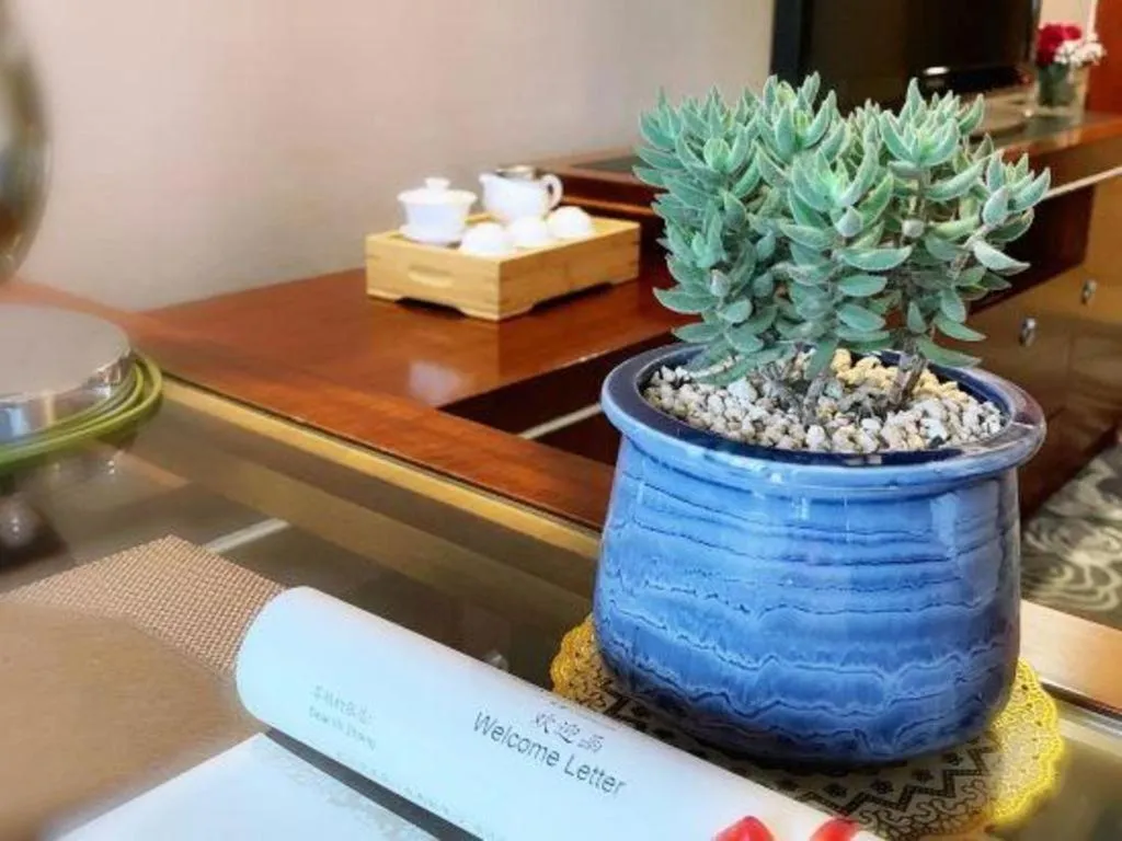 Xinjin Celebrity City Hotel