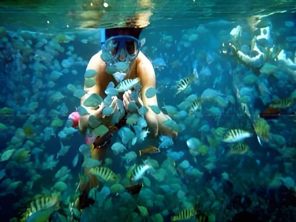 67th Heaven Holiday Resort