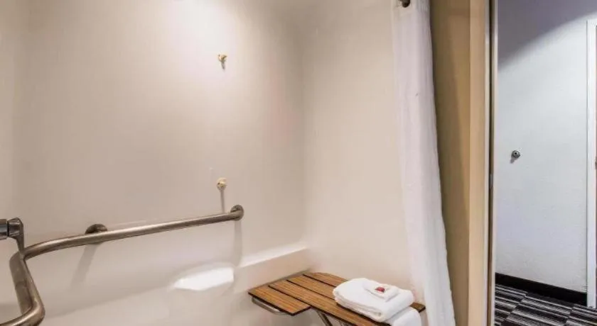 Microtel Inn & Suites by Wyndham Chattanooga/Near Hamilton P