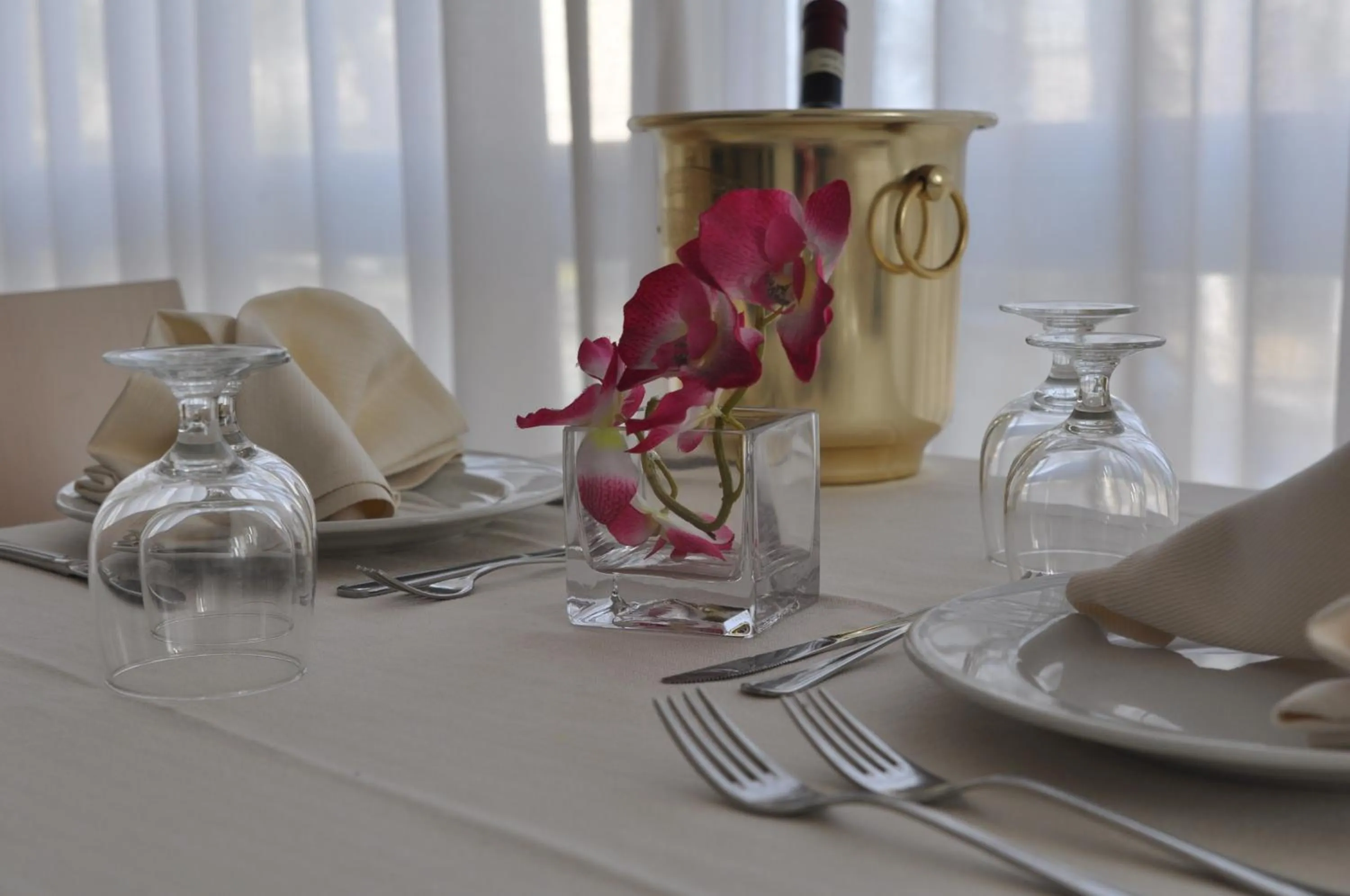 Restaurant/places to eat in Hotel Adriatic&Beauty