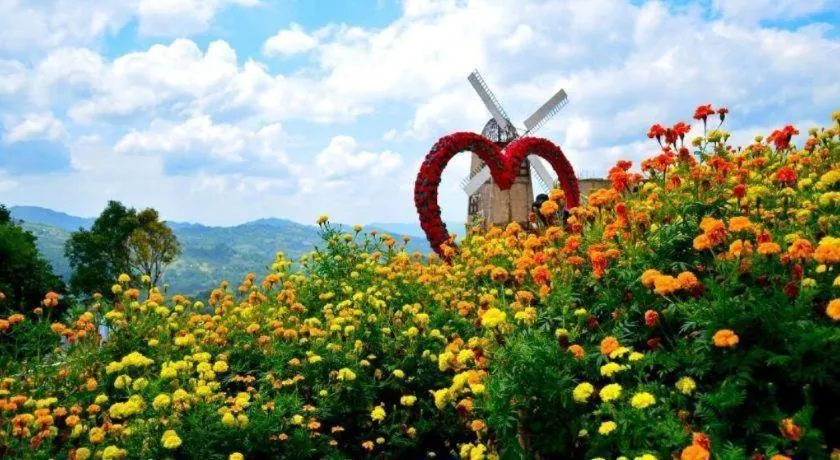 The Henry Hotel Cebu - Multi-use Hotel